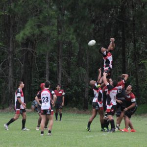 Campeonato de Rugby